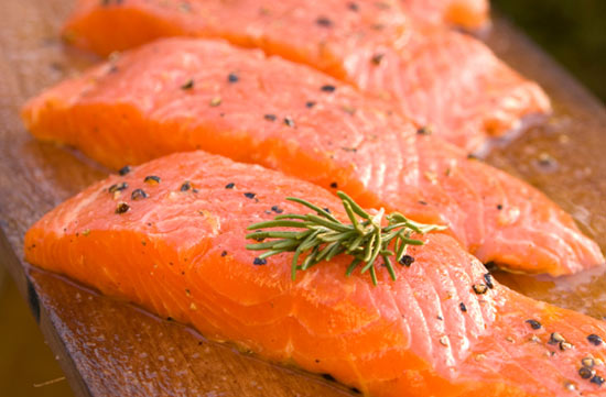 Salmon